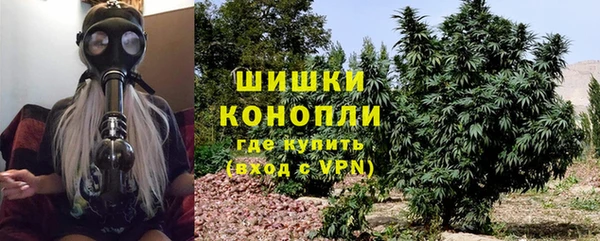 гидра Верхний Тагил