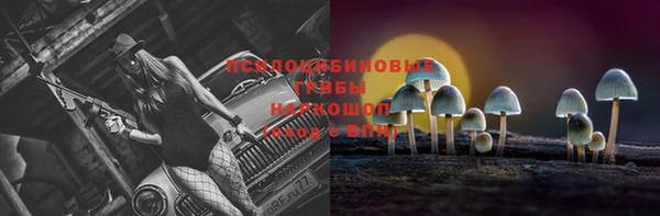 гидра Верхний Тагил