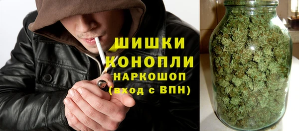 гидра Верхний Тагил