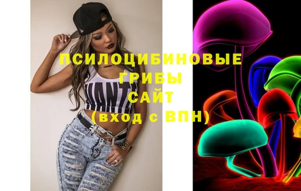гидра Верхний Тагил
