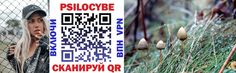 Псилоцибиновые грибы прущие грибы  Купить закладки  Лахденпохья 